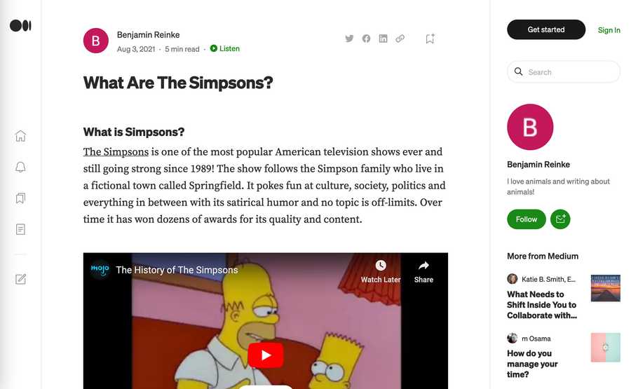 Screenshot of a Medium article by Benjamin Reinke with the title "What Are The Simpsons" and an earnest description about the TV show.