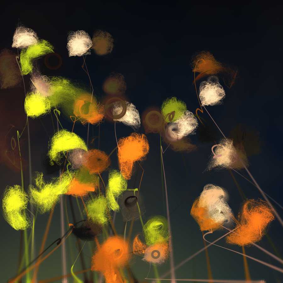 Sample render of Cottongrass, generative artwork by Tim Murray-Browne