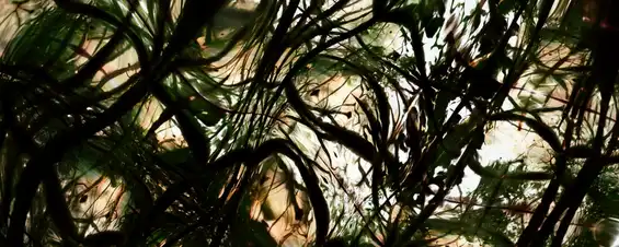AI-rendered abstract image reminiscent of dense foliage. Still from “World Without End” by Tim Murray-Browne.