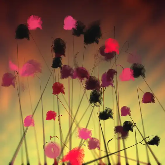 A single render of the generative artwork "Cottongrass" by Tim Murray-Browne.