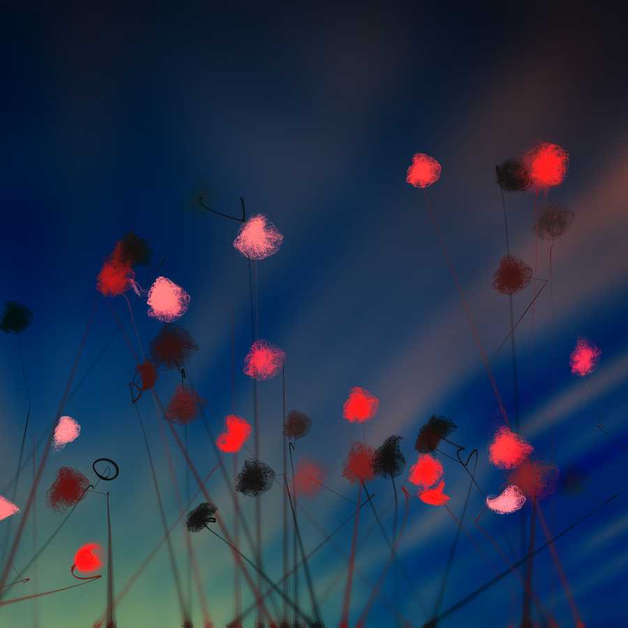 Sample render of Cottongrass, generative artwork by Tim Murray-Browne